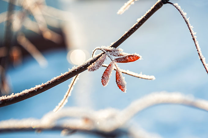 Maintaining skin moisture in winter