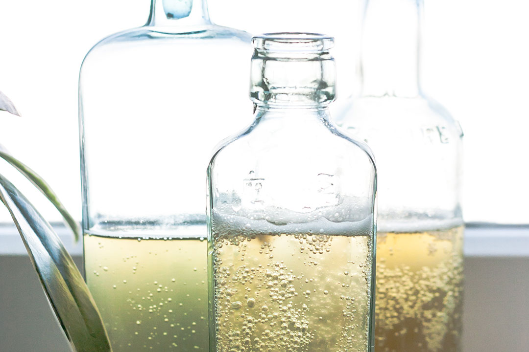 Kombucha – great for gut health… but what about the sugar?